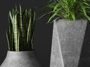 potted plants 3D Model