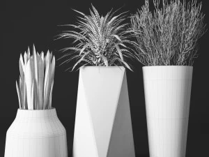 potted plants 3D Model