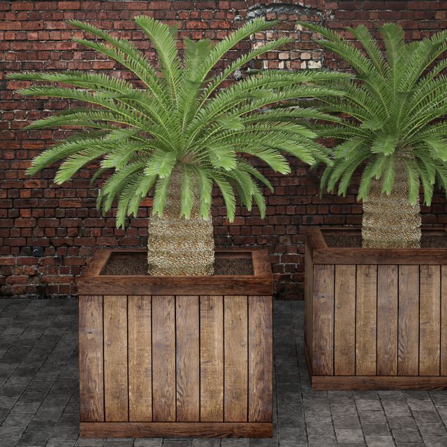 palm tree 3D मॉडल .c4d .max .obj .3ds .fbx .stl .blend 