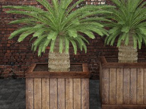 palm tree 3D 模型