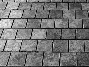 paving stone 3D Model