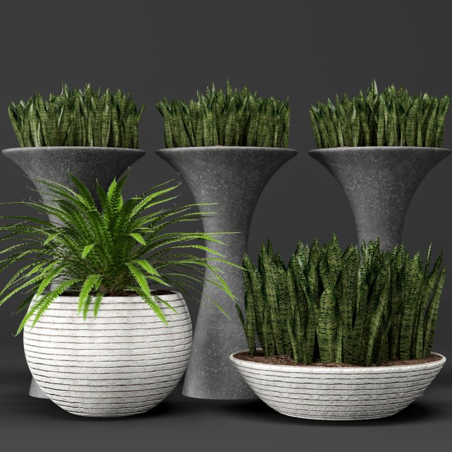 potted plants 1 3D Model .c4d .max .obj .3ds .fbx .stl .blend 