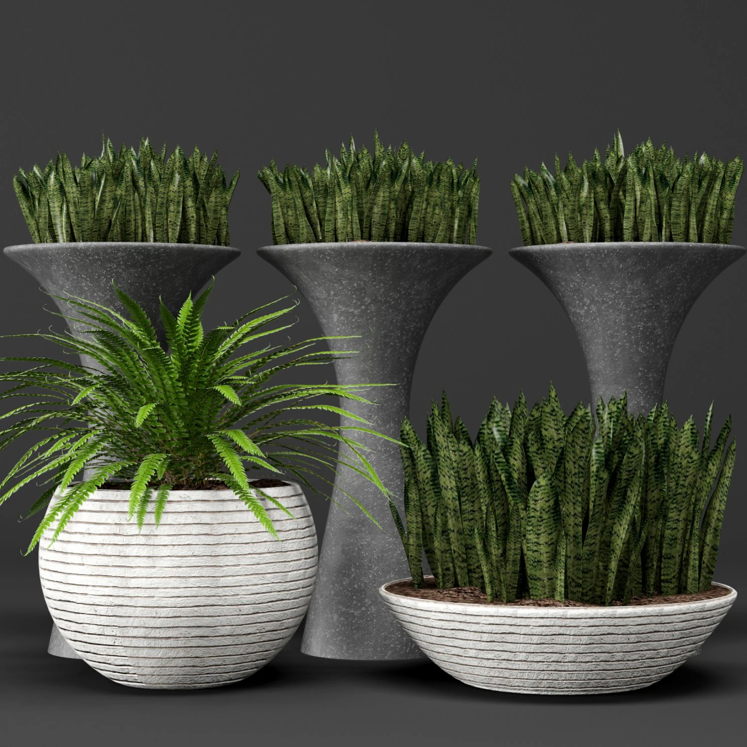 potted plants 1 3D Model .c4d .max .obj .3ds .fbx .stl .blend 