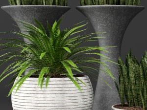 potted plants 1 3D Model