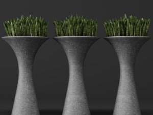 potted plants 1 3D Model