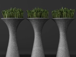 potted plants 1 3D Model