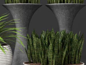 potted plants 1 3D Model