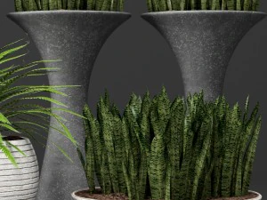 potted plants 1 3D Model