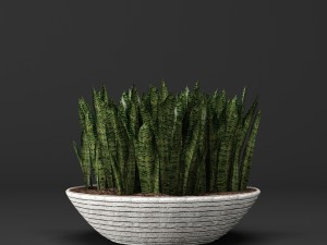 potted plants 1 3D Model