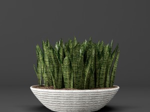 potted plants 1 3D Model