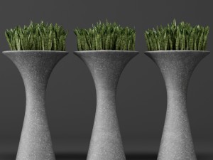 potted plants 1 3D Model