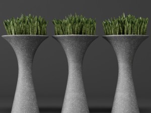 potted plants 1 3D Model