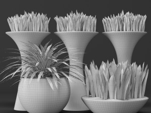 potted plants 1 3D Model