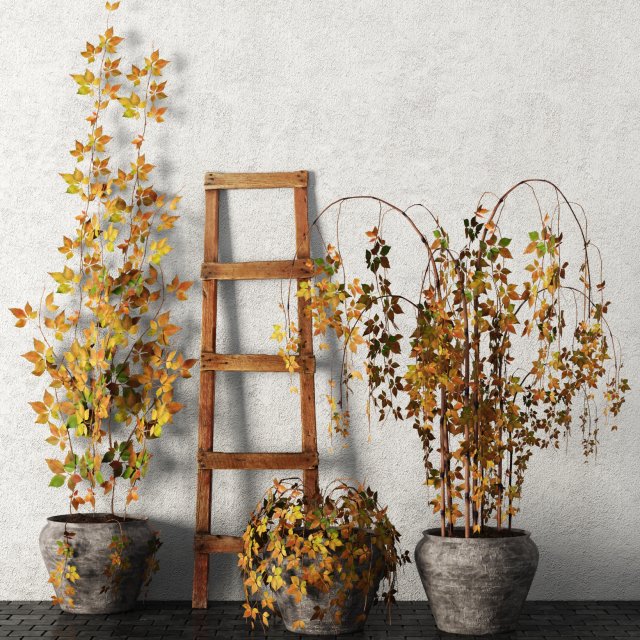 plants in pots set 3D Model .c4d .max .obj .3ds .fbx .stl .blend 