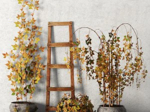 set di piante in vaso Modello 3D