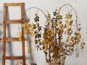 plants in pots set 3D Model