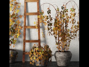 plants in pots set 3D Model