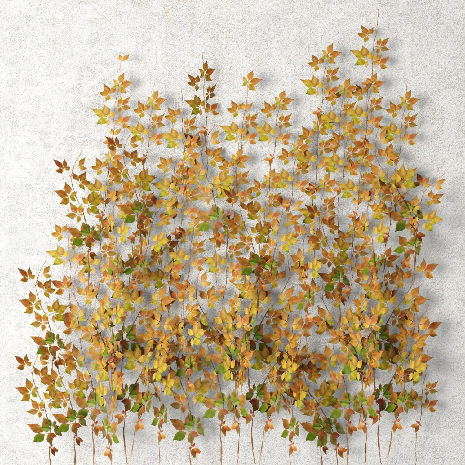 vine leaves wall 3D Model .c4d .max .obj .3ds .fbx .stl .blend