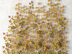 vine leaves wall 3D Model