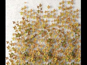 vine leaves wall 3D Model