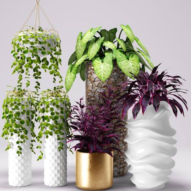 collection of plants in pots 3D Модель .c4d .max .obj .3ds .fbx .stl .blend 