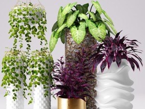 collection of plants in pots 3D Model