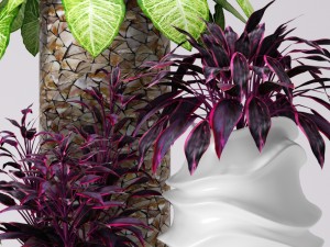 collection of plants in pots 3D Модель