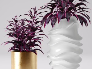 collection of plants in pots 3D Модель