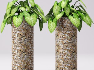 collection of plants in pots 3D Модель