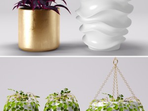 collection of plants in pots 3D Модель