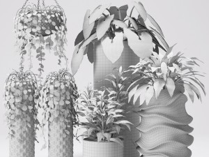 collection of plants in pots 3D Модель