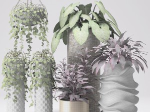 collection of plants in pots 3D Модель