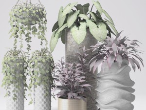 collection of plants in pots 3D Модель