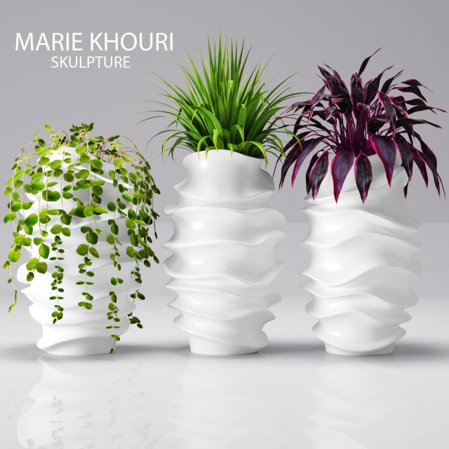 collection of plants in pots 3D 모델 .c4d .max .obj .3ds .fbx .stl .blend 