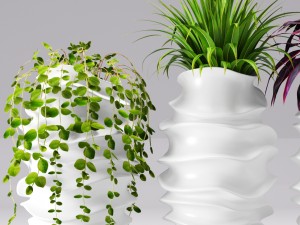 collection of plants in pots 3D 모델