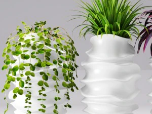 collection of plants in pots 3D Model