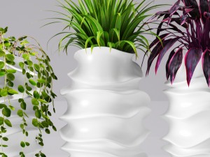 collection of plants in pots 3D 모델
