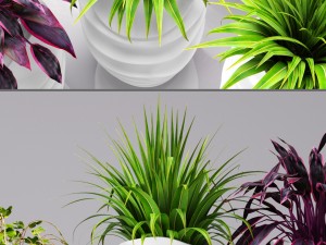 collection of plants in pots 3D 모델