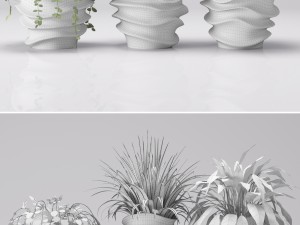 collection of plants in pots 3D 모델