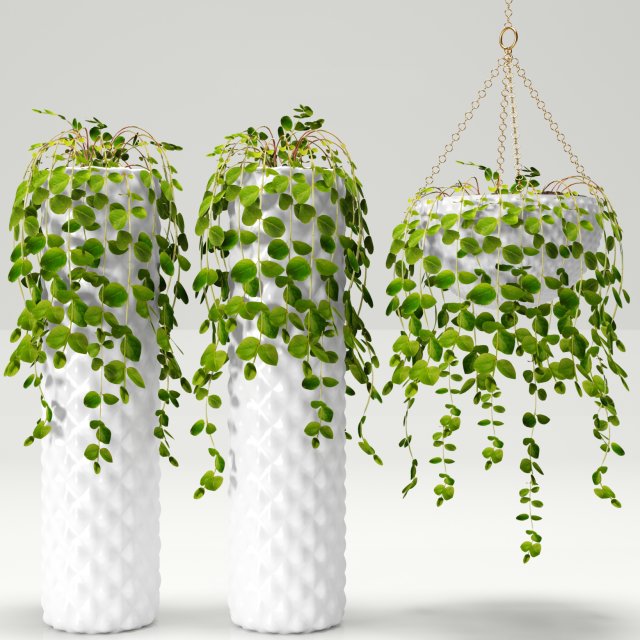 collection of plants in pots Modèle 3D .c4d .max .obj .3ds .fbx .stl .blend 