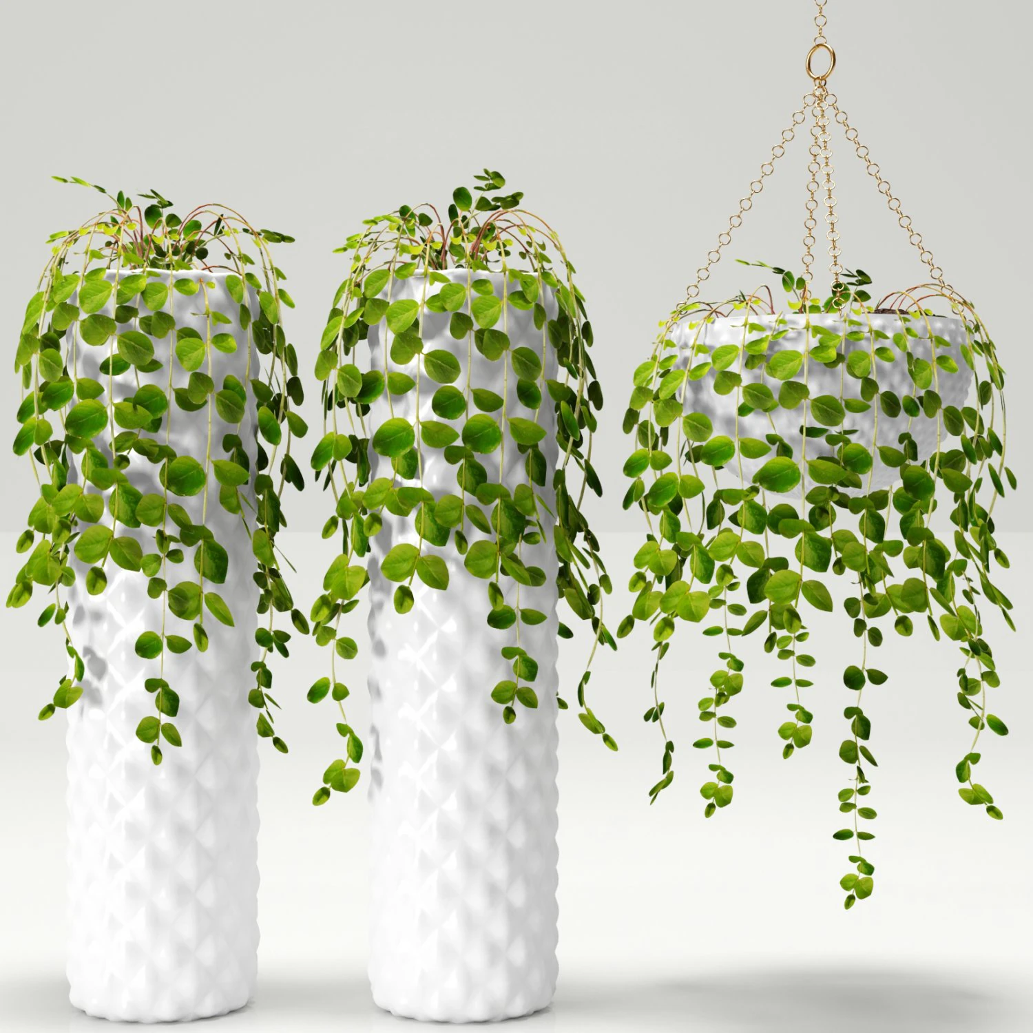 collection of plants in pots 3D Model .c4d .max .obj .3ds .fbx .stl .blend 