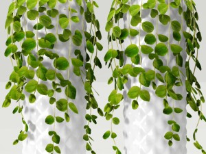 collection of plants in pots Modèle 3D