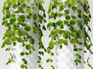 collection of plants in pots 3D Model