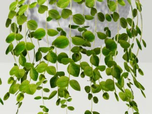 collection of plants in pots 3D Model