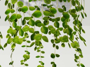 collection of plants in pots Modèle 3D