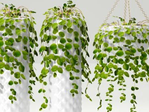 collection of plants in pots 3D Model
