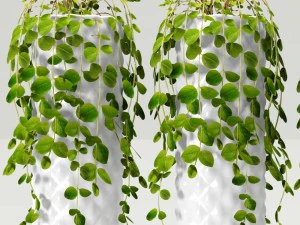 collection of plants in pots 3D Model
