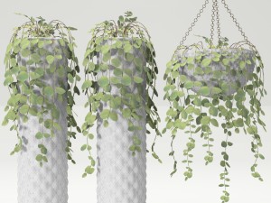 collection of plants in pots Modèle 3D