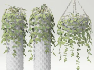 collection of plants in pots 3D Model