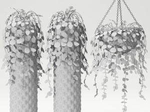 collection of plants in pots Modèle 3D